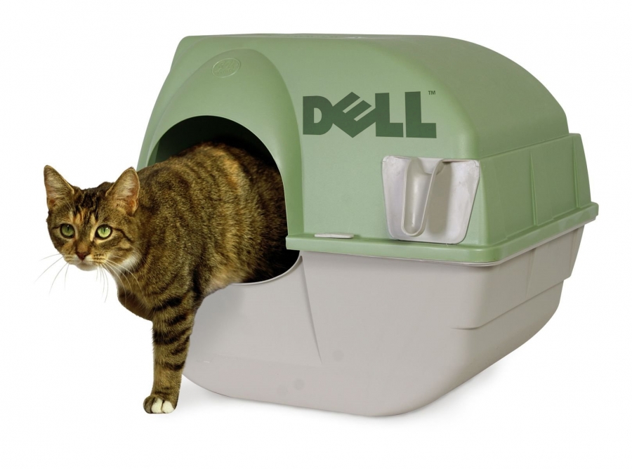 CONSUMER REPORT: Dell Laptops Smell Like Cat Urine [BBC]